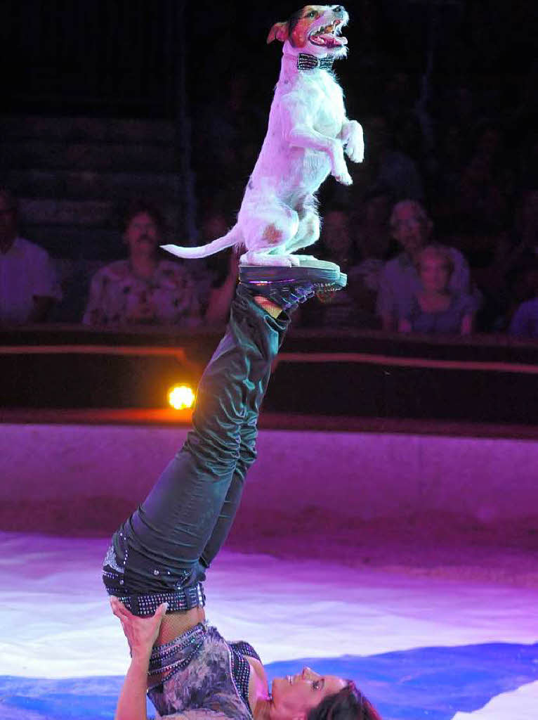 Menschen, Tiere, Sensationen – der Circus Louis Knie in Freiburg.