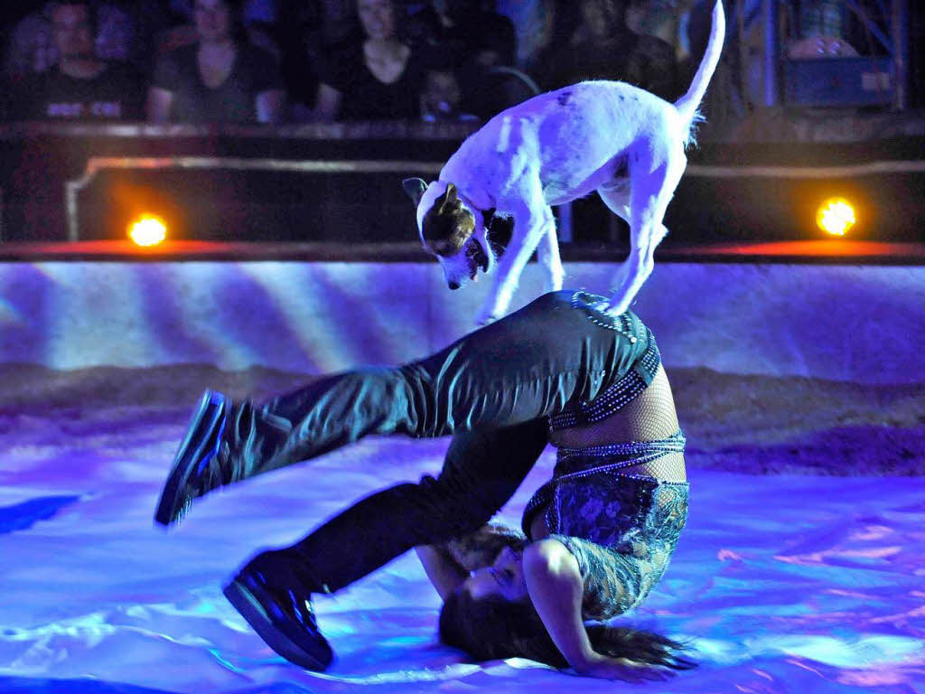 Menschen, Tiere, Sensationen – der Circus Louis Knie in Freiburg.