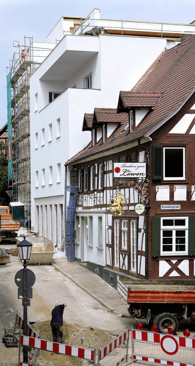 Vor der Fertigstellung: das Lwenareal  | Foto: YCB