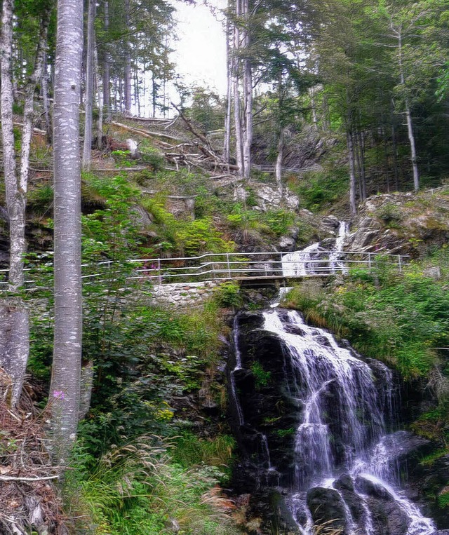 Der Fahler Wasserfall: Eine Wandersfra...nheit an herumliegenden Baumstmmen.   | Foto: Privat