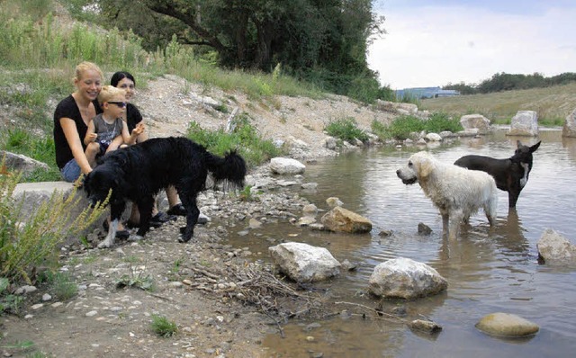 Mensch und Tier fhlen sich an der Kan... um die Wasserqualitt sorgen mssen.   | Foto: Frey