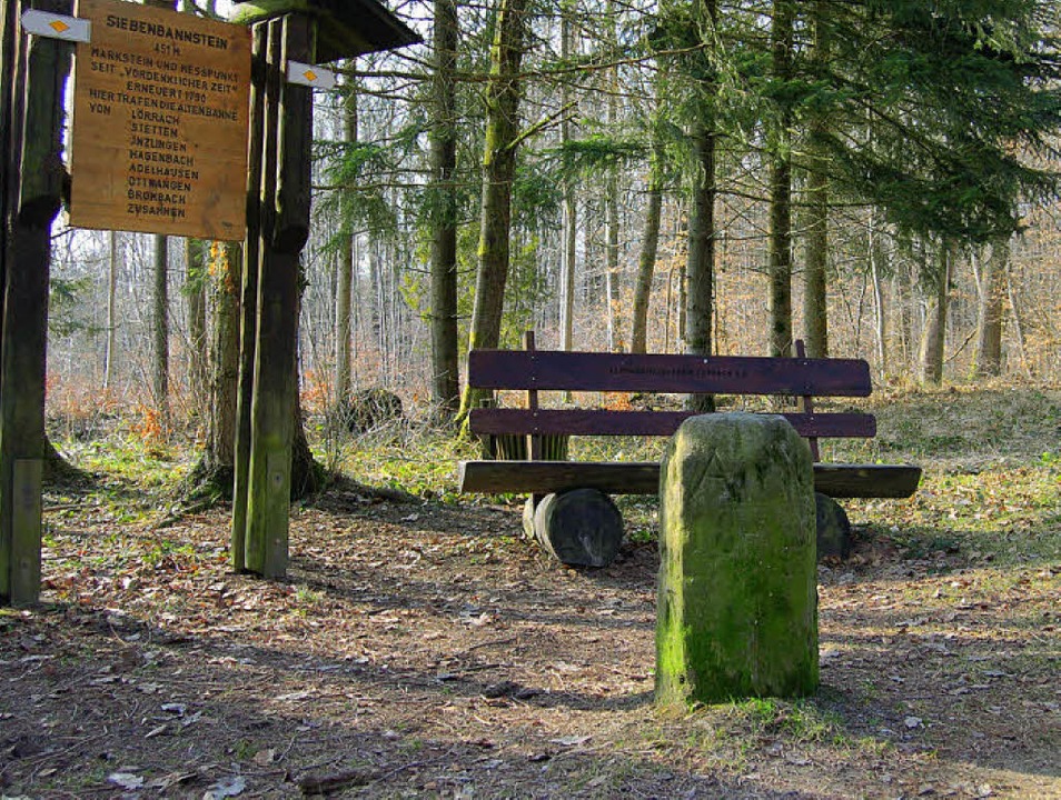 Der Siebenbannstein im Adelhauser Wald... für interessante Regionalgeschichte.   | Foto: Petra Wunderle