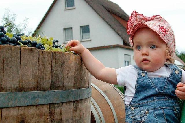 Fotos: Weinfest in Wolfenweiler