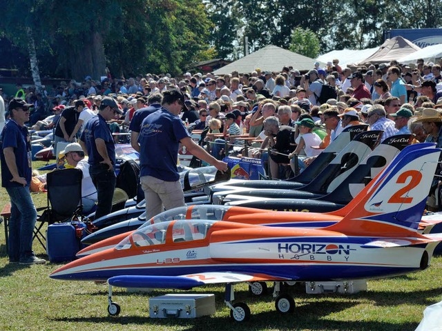 Rekordverdchtig: Tausende von Besuchern kamen zum Mllheimer Modellflugtag.   | Foto: Volker Mnch