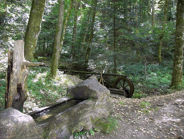 Idyll am Waldparkplatz Bust in Elzach  | Foto: Nikolaus Bayer