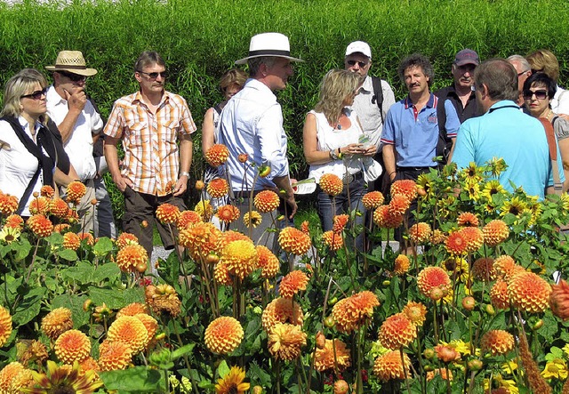 Vorbereitung fr 2022: Echte Gartensch...e von Neuenburgern in Horb am Neckar.   | Foto: Privat