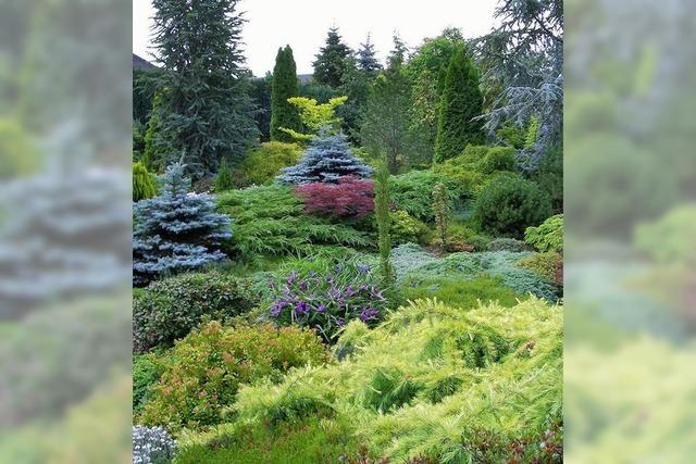 Im Ziergarten kndigt sich nicht nur das Ende der Saison an