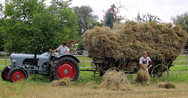 Markus Duri auf dem Erntewagen  | Foto: Janina Ruth