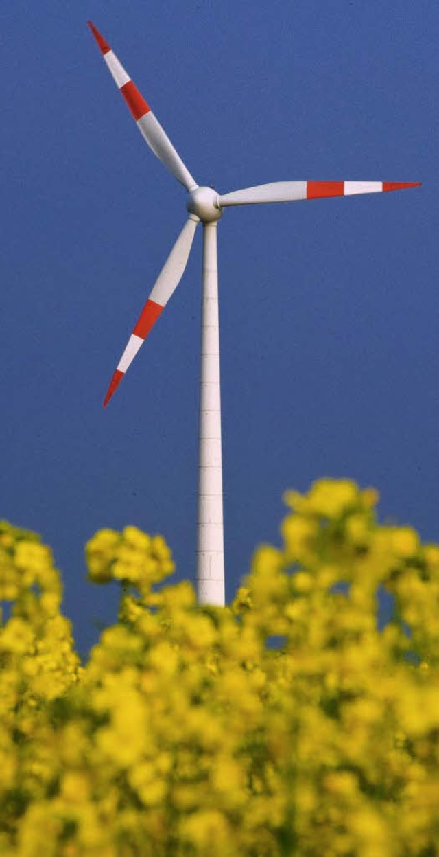 Windkraft ist eine der alternativen En...8211; vielleicht auch in Ehrenkirchen?  | Foto: dpa