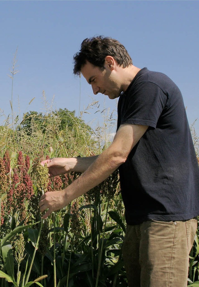 Agrarexperte mit Krnerhirsepflanzen, ...zpflanzenspektrum der Ortenau wchst.   | Foto: Erika Sieberts