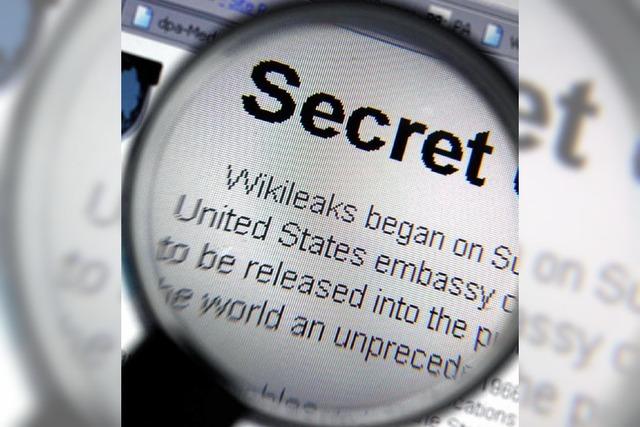 Wikileaks: Datenpanne gefhrdet Informanten