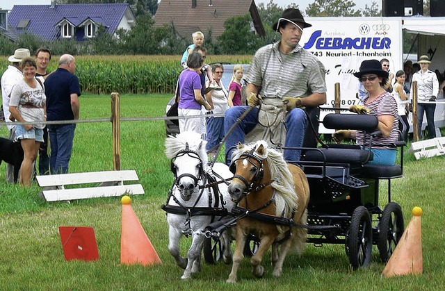 Roland Schneider mit Rocco und Moritz      | Foto: Dieter Fink