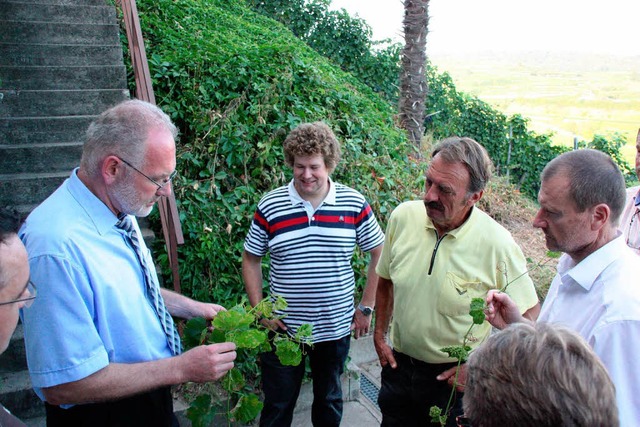 Rolf Steiner, der Leiter des Staatlich...rch den Weinberg ber Flora und Fauna.  | Foto: Christine Aniol