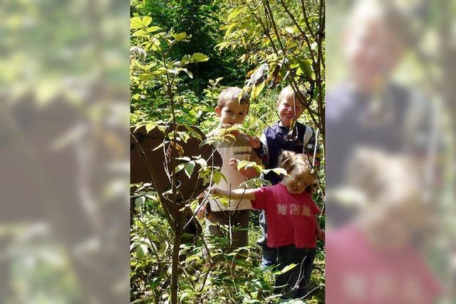 Kindergarten in den Wald verlegt