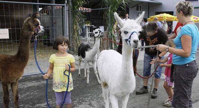 Ein Spaziergang mit den Alpakas machte den Kindern groen Spa.   | Foto: ulrike hiller