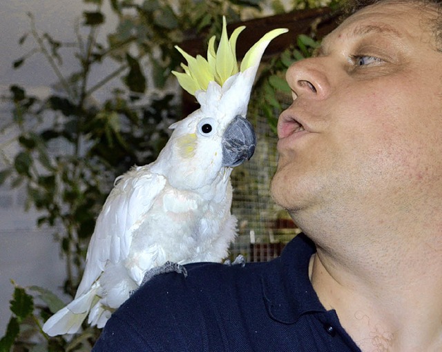 Edgar Tausch mit seinem Gelbhauben-Kakadu   | Foto: paul berger