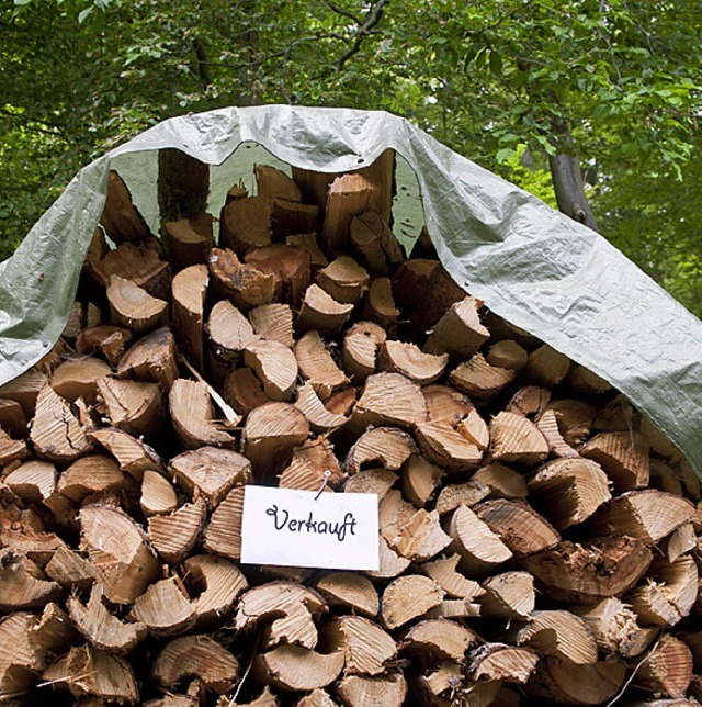 Holz ist ein wichtiger Naturstoff &#82...die Besucher der Waldtage berzeugen.   | Foto: dpa
