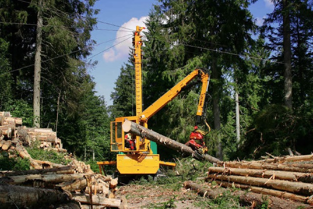 Er ist beim Waldtag voll in Aktion: ei...an, der die Stmme bringt und verldt.  | Foto: Kreisforstamt Emmendingen