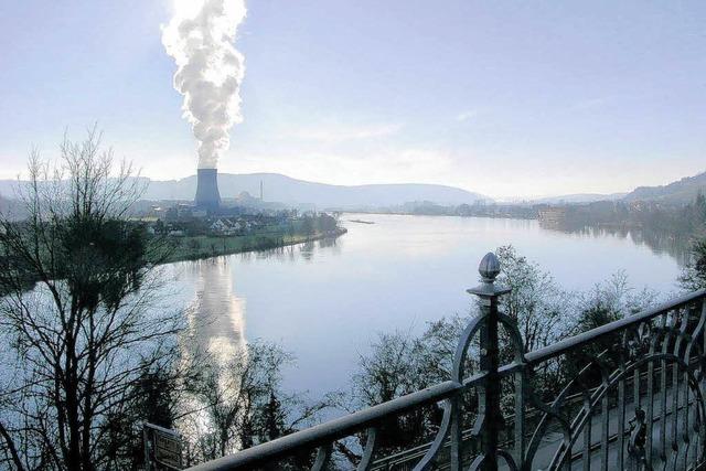 Gutachter: Schweizer AKW knnen berflutung trotzen