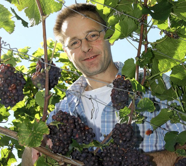 Der Weingutswinzer Ralf Mibach aus Eb... in der Lage &#8222;Sommerberg&#8220;.  | Foto: silvia faller