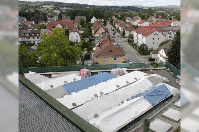 Die Grnen wollen Rheinfelden zur Solarenergiestadt machen