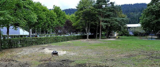 Demnchst geht&#8217;s los: Hier, an d...,  entsteht das FT-Grundschulgebude.   | Foto: Michael Bamberger