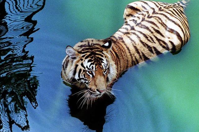 Vollmar vom WWF ber Lust und Last des Umweltschutzes
