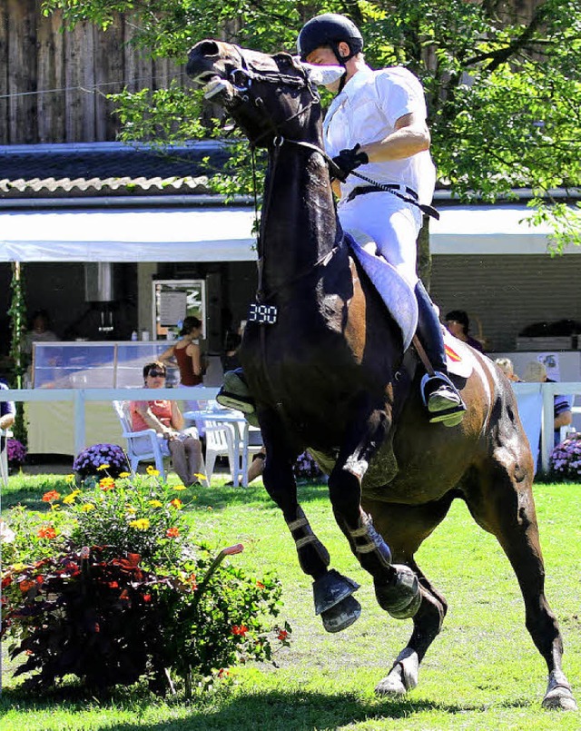 Nicht immer springen die Pferde bereit...nzose Steve Debes feststellen musste.   | Foto:  Peter Aukthun
