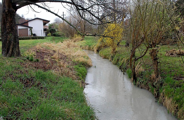 Soll nicht weiter verschlammen: Der Hodbach.   | Foto: VicToria Langelott