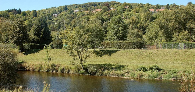 Blick von der Wiese zum Tllinger Berg   | Foto: Sabine Ehrentreich