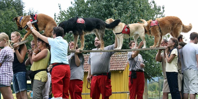 Die Zuschauer durften den Hunden der R... dabei helfen, ihre Tricks zu zeigen.   | Foto: Hannah Klusmann