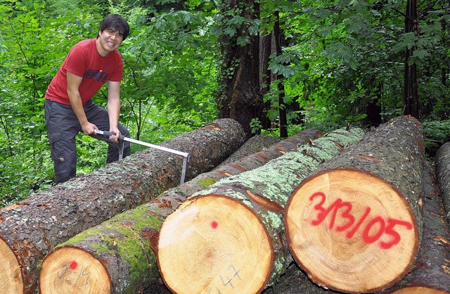 Mit der Kluppe an die Bume: Hiroki Shishido vermisst das geschlagene Holz.  | Foto: Rainer Ruther