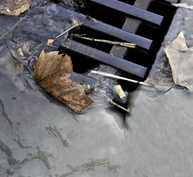 Fliet Regenwasser in die Kanalisation...ezahlen &#8211; je nach Versiegelung.   | Foto: Ingo Schneider