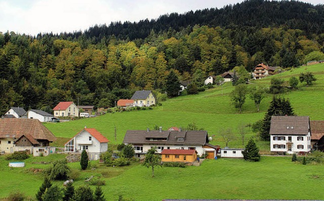 Oberhalb des ausgewiesenen Baugebiets ... eine Familie in Marzell Bauabsichten.  | Foto: Rolf-Dieter Kanmacher