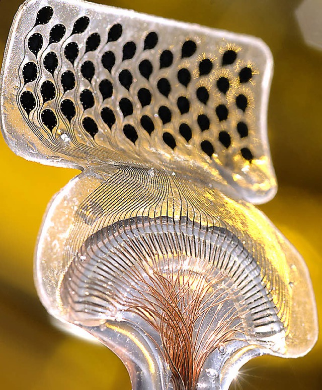 Eine Elektrode, verbunden mit einer  Gehirnzelle  | Foto: IMTEK / Bernd Mller