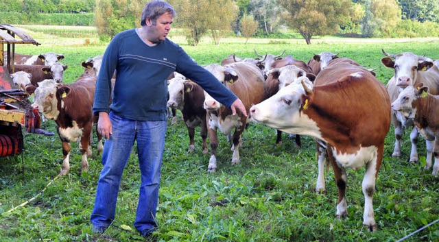 Mit der Kuh auf Du und Du: Ralf Heitzl... Weide mit seinen Hinterwlder-Rindern  | Foto: Thomas Kunz