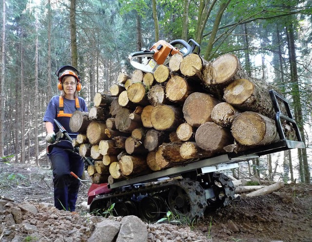 Der Wald ist ein gewichtiger Wirtschaf... einen Preis beim FBG-Fotowettbewerb.   | Foto: ulrich martin