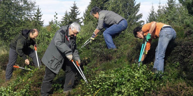 Die Helfer entfernten im Naturschutzge...meister Helmut Kaiser packten mit an.   | Foto: Karin Steinebrunner