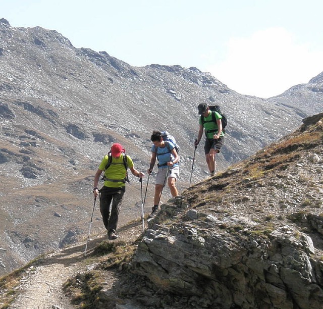 In den Walliser Alpen war eine zehnkp...Lahrer Schwarzwaldvereines unterwegs.   | Foto: Gnter Gallehr