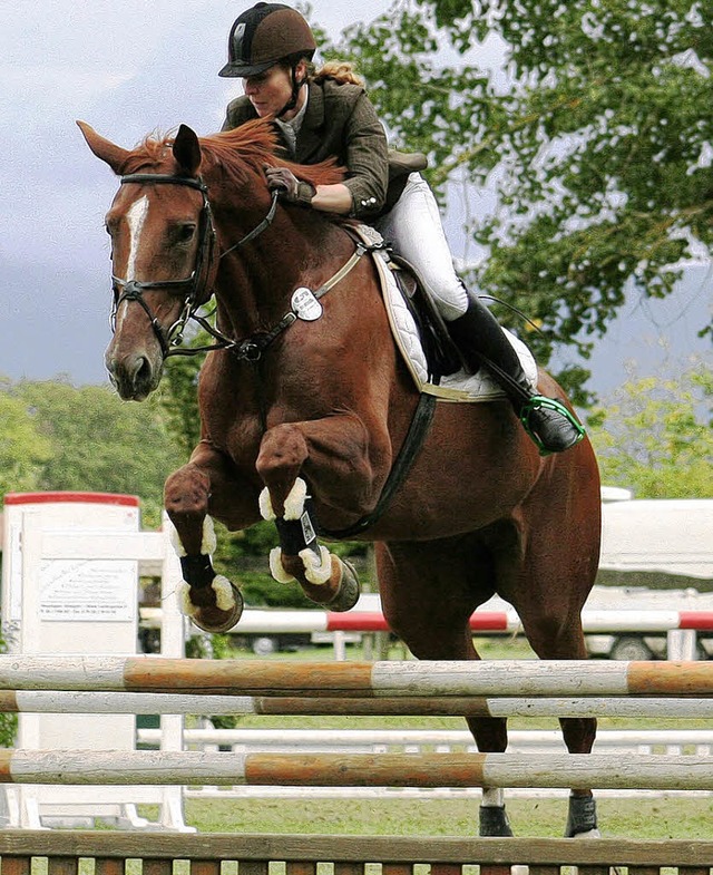 Christine Amann-Ott und Caruso im Parcours   | Foto: Anita Birkenhofer