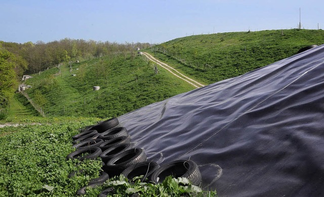 Dem Sickerwasser der ehemaligen Kreism...e in Neuenburg geht es an den Kragen.   | Foto: Volker Mnch