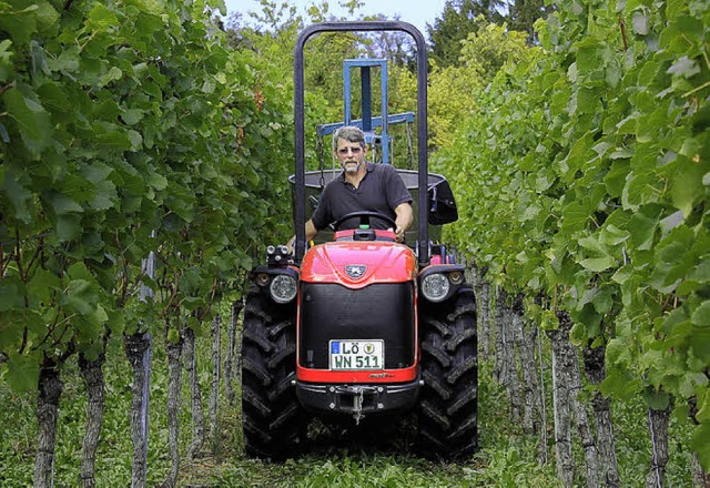 Knatternd fhrt Karlheinz Ruser mit seinem  Traktor durch die Reben.  | Foto: Julian Kutzim