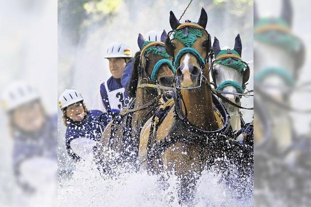 Beste Vorzeichen fr das Reitturnier