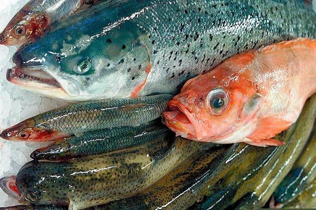 Foodwatch will strengere Grenzwerte für Fisch