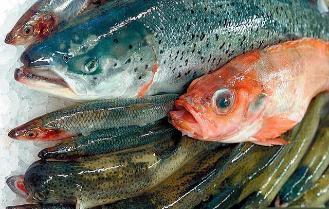 Welche Grenzwerte bei radioaktiver Belastung sollen fr Fisch gelten?  | Foto: David Hecker