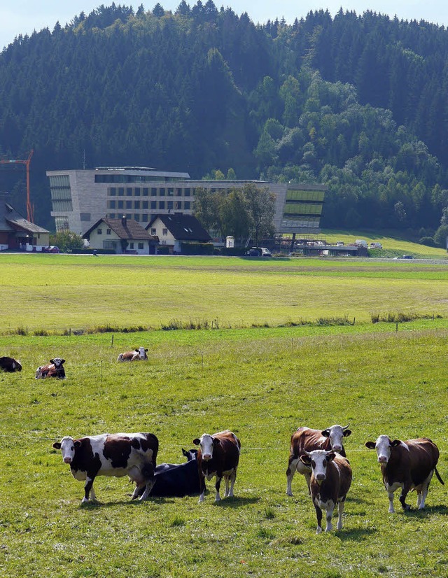 Landwirtschaft und High-Tech-Industrie in Titisee 