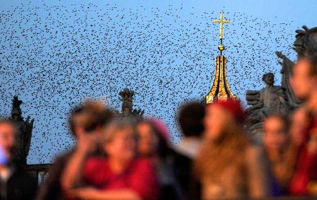 Die Messe vor 61.000 Glubigen im Olympiastadion und die Rede im Bundestag – dies waren die Hhepunkte des ersten Tages des Papstbesuchs.