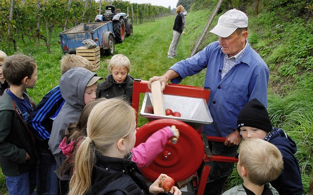 Vor Ort wurden ein Teil der pfel gemahlen und zu Saft gepresst.  | Foto: Vitt