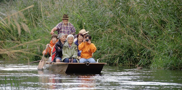 Touren in die Natur waren bei der Ried...n gefragt, wie die Taubergieenfahrt.   | Foto: archiVBILD: ULRIKE DERNDINGER