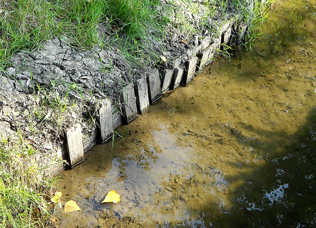 Im Bereich vor der Grenze zu  Binzen s...nd trocken, bevor er weggebracht wird.  | Foto: Langelott